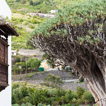 Tenohomes Large Family Icod * San Marcos (Tenerife)